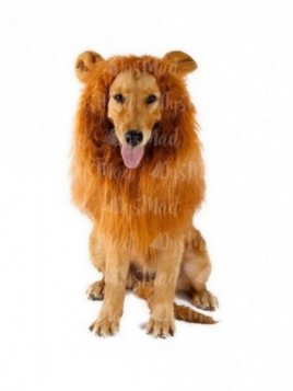 Disfraz para mascota melena de león
