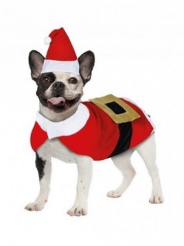 Disfraz Papa Noel para mascotas