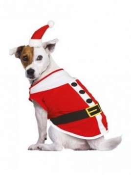 Disfraz Santa Dog para mascota