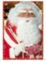 Set Papa Noel  peluca+barba+cejas