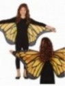 Alas de mariposa infantil 110x50cms.