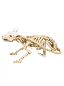 Esqueleto de rata