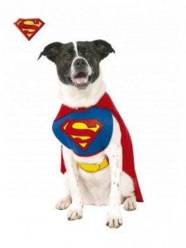 Disfraz Superman mascota