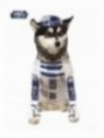 Disfraz R2-D2 Mascota